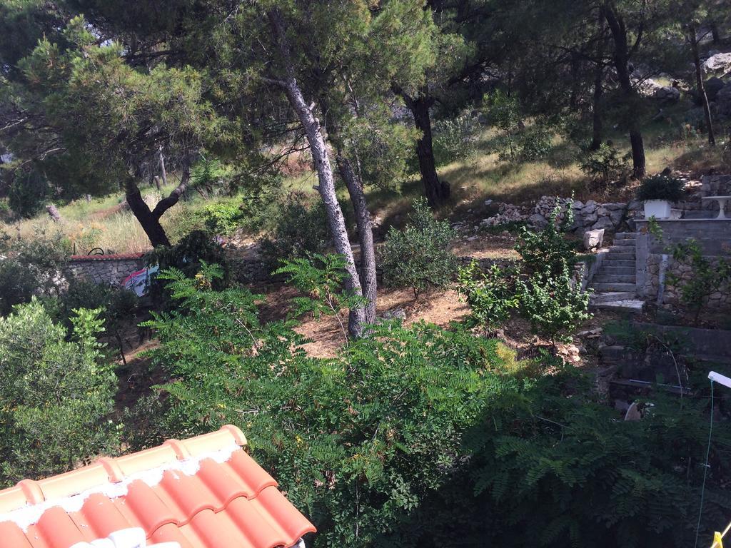 Apartments Vila Marija Grebaštica المظهر الخارجي الصورة