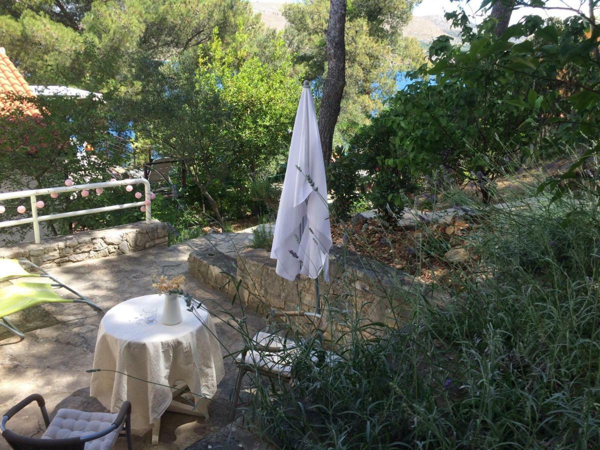 Apartments Vila Marija Grebaštica المظهر الخارجي الصورة